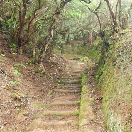 Casa Del Cu Bano B- Biosphere Reserve Санта-Крус-де-Тенерифе Экстерьер фото